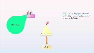 Philadelphia Chromosome Translocations Inversions Deletions [upl. by Atiluj]