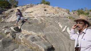 Geological Field demonstration by Prof T K Biswal Part 59  Fold description [upl. by Ninnahc]