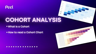 What is a Cohort How to Read a Cohort Analysis Chart [upl. by Crichton560]