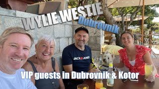 DAY TRIPS DUBROVNIK amp KOTOR WITH CUTE WESTIE DOG WYLIE [upl. by Leod]