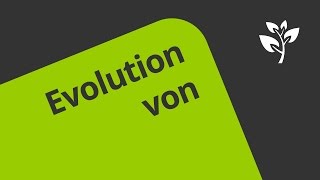 Stammt der Mensch vom Affen ab  Biologie  Evolutionsbiologie [upl. by Allemaj]