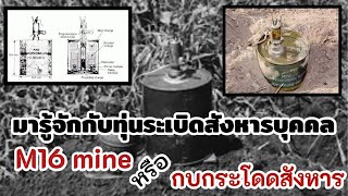 มารู้จักกับทุ่นระเบิดสังหาร M16 mine หรือ กบกระโดดสังหาร [upl. by Jany]