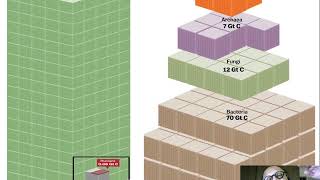 17 Allometric Scaling [upl. by Corb]