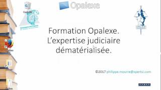 OPALEXE 11  Le sapiteur installe le certificat logiciel et accède à l’expertise [upl. by Ardnaik]