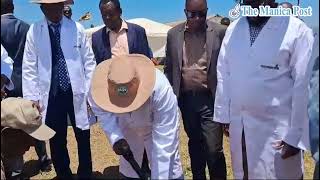 Acting President Chiwenga officiates at National Tree Planting Day [upl. by Alisa]