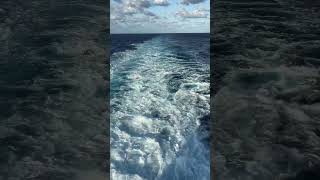 shorts Royal Caribbean Adventure of the Seas  Wake View Best View Engine Wash [upl. by Oag382]