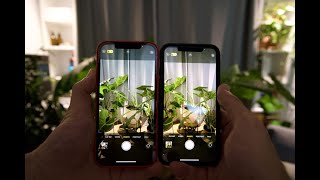 Comment améliorer sa qualité dappareil photo et vidéo sur son iPhone [upl. by Hubsher]