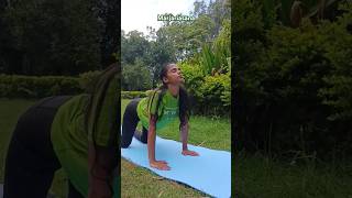 Marjariasana yoga spinehealth backstrength youtubeshorts dailymotivation trend harekrishna [upl. by Cadell]