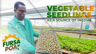 VEGETABLE SEEDLINGS PROPAGATION [upl. by Atsed260]