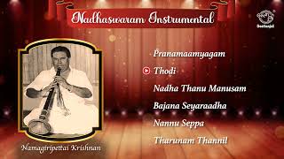 Divine Nadaswaram Recital by Namagiripettai Krishnan  Classical Instrumental Music [upl. by Euqnomod793]