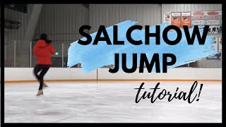 Salchow Jump  Figure Skating Lessons [upl. by Aremmat]