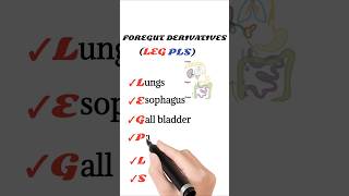 foregut derivatives mnemonic [upl. by Artemis]