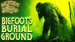 Bigfoots Burial Ground  Bigfoot The Road to Discovery Real Sasquatch Audio [upl. by Trabue]