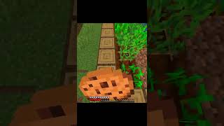 Unbelievable Minecraft Creations You Wont Believe Exist [upl. by Mcclimans410]