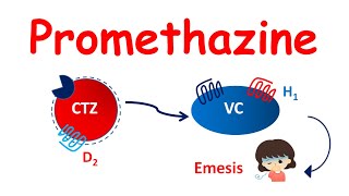 Promethazine tablets  Mechanism Precautions side effects amp uses [upl. by Ainatit]