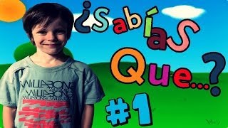 10 COSAS QUE QUIZÁS NO SABIAS  Thiago [upl. by Boccaj]