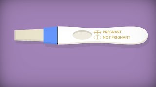 At Home Pregnancy Test How to Take a Pregnancy Test at Home  MFine [upl. by Ohs46]