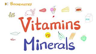 Vitamins vs Minerals  What’s the difference  Diet amp Nutrition Series [upl. by Donelu]