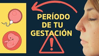 Curso Gratis Lección 7🌳DESCUBRE los CÓDIGOS EMOCIONALES PROGRAMADOS DURANTE TU GESTACIÓN [upl. by Siryt4]