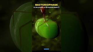 Bacteria vs Virus vs Bacteriophage 🗿👽 shorts scienceofinfinity science [upl. by Lutero]