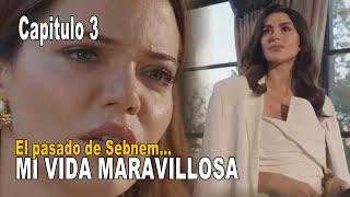 Mi Maravillosa Vida  Capitulo 3  El pasado de Sebnem [upl. by Azenav108]