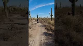 Only in the Valley of the Sun Arizona USA shorts [upl. by Conroy]