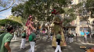 Gegants del Pi  Ofrena a Rafael de Casanova per la Diada Nacional de Catalunya 2023 a Barcelona [upl. by Raskind]