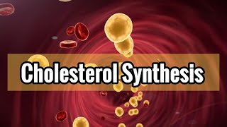 Cholesterol And Eicosanoids Synthesis Lec13 شرح [upl. by Aryhs514]