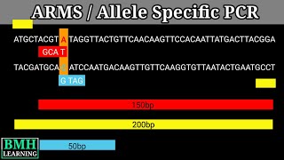 Allele Specific PCR  ARMS PCR [upl. by Henson]