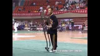 2013 All China Traditional Wushu：龍頭大鍘刀cut grass sword [upl. by Annaillil]