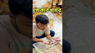 পোকামাকড় চাষের মাধ্যমে বেকারত্ব কমানো সম্ভব insects pets ornofpets [upl. by Kcub]