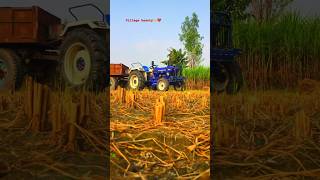 Rice fields‼️shortvideo khetibadi tee [upl. by Feeney]