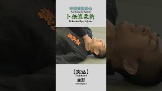 Bokuden Ryu Jujutsu【Tsukkomi】Suwarigata 卜伝流柔術【突込】坐形 shorts [upl. by Killy]