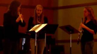 Kuhlau Woodwind Trio Sonatina Op 20 No 1 [upl. by Rehpotsirc]