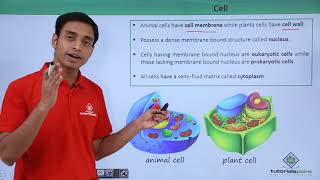 Class 11th  Cell – Overview  Cell The unit of Life  Tutorials Point [upl. by Cutler]