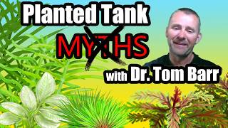 Tom Barr on Aquarium Plant Tips Myths and Critical Thinking [upl. by Jerri]