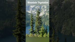 5 TYPES OF NATURAL VEGETATION OF INDIA [upl. by Dorelle]