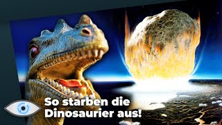 So hat der Asteroid die Dinosaurier vernichtet Die ersten 24 Stunden nach dem Einschlag [upl. by Kristina]