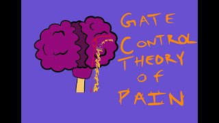 What is Pain  Melzack amp Walls 1965 Gate Control Theory of Pain [upl. by Aalst]