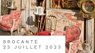 DES PLANTES AU VIDE GRENIER DU 23 JUILLET 2023 [upl. by Eceinehs]