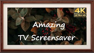 Silent TV Screensaver 4K UHD [upl. by Kirkwood362]