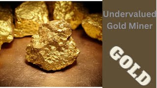 An undervalued opportunity in gold [upl. by Nabroc]