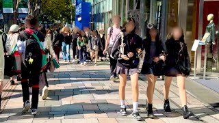 HARAJUKU BEST WALK Nov 2024 Beautiful Tourists Tokyo Walk [upl. by Annirac]