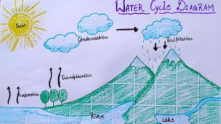 water cycle diagram [upl. by Etteiluj]