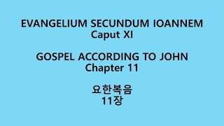 요한복음 11장 라틴어 성경Evangelium secundum Ioannem XI Nova VulgataJohn 11 Neo Vulgate Latin Bible [upl. by Ys]