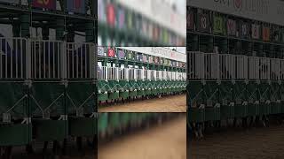 150th Kentucky Derby starting gate derby horse racing [upl. by Anawot663]