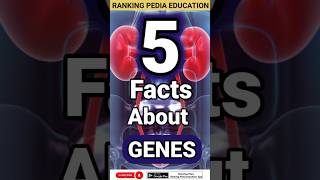 5 Facts about Genes  What are Genes  Functions of Genes genereviewsfactsbiologyfactsaboutgenes [upl. by Nimref]