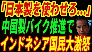 【海外の反応】インドネシアで悲劇勃発！中国製電動バイク推進で国民が大パニックｗ【総集編】 [upl. by Joed]