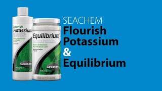 Seachem Equilibrium Review [upl. by Lenra]