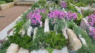 Sedums and Other Miniature Plants of the Crevice Garden Cantigny Park Wheaton Illinois June 2021 [upl. by Walden]